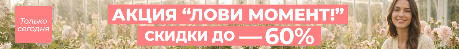 акция
