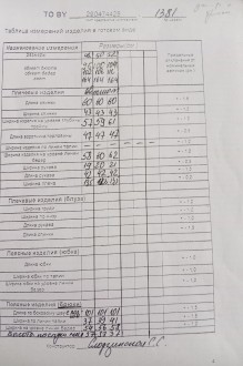 ТAиЕР 1381 двойка #6