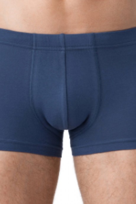 Брестский чулочный комбинат 6200 BOXER BRIEFS #1