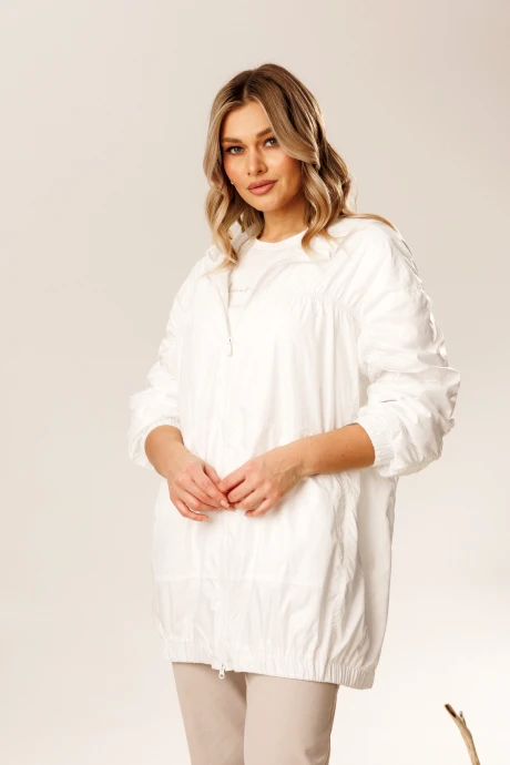 FauFilure C596 #1