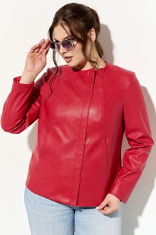 IVA 1366 #2