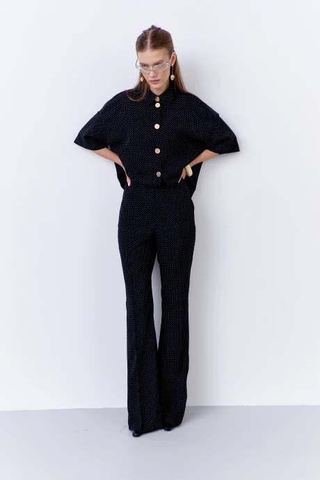 FLAIM 2068  двойка #4