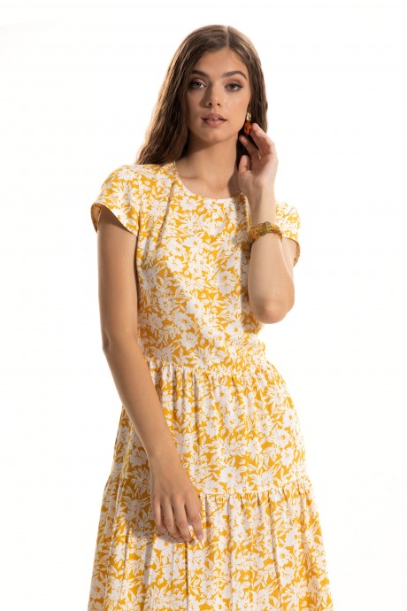 Golden Valley 4911 #2