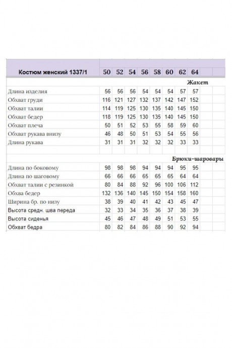 Костюм/комплект Michel Chic 1337/1 яблоко размер 50-64 #6
