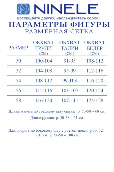 Костюм/комплект NINELE (Нинель Шик ) 6076 синий размер 50-58 #10