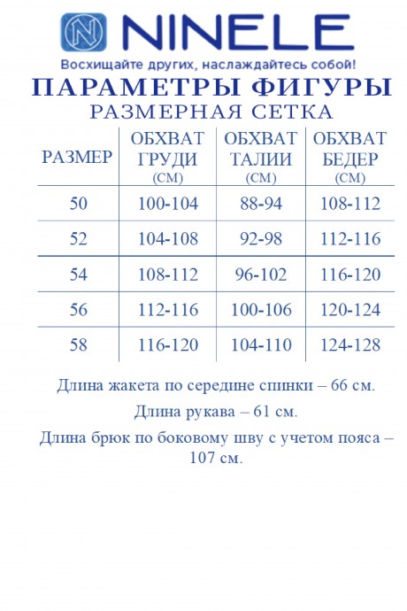 Костюм/комплект NINELE (Нинель Шик ) 7501 графит размер 50-58 #9