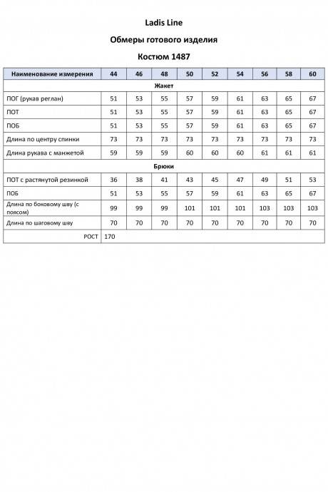 Ликвидация Ладис Лайн 1487 #6