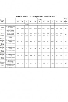 Распродажа Тэнси 258а #2