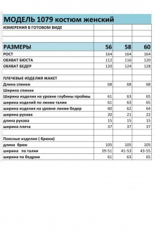 Bagira 1079 двойка #3