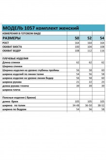 Bagira 1057 двойка #7