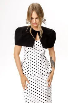 PiRS 6609 двойка #2