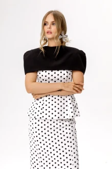 PiRS 6609 двойка #5