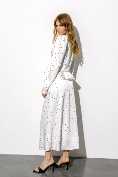 PiRS 6795 двойка #3