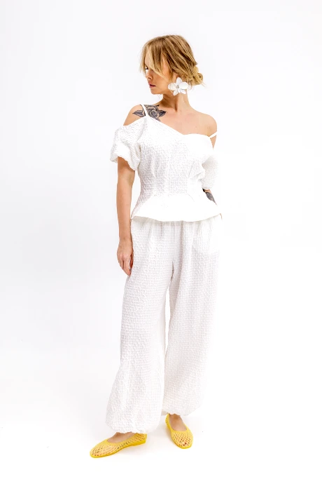 PiRS 6838 #2