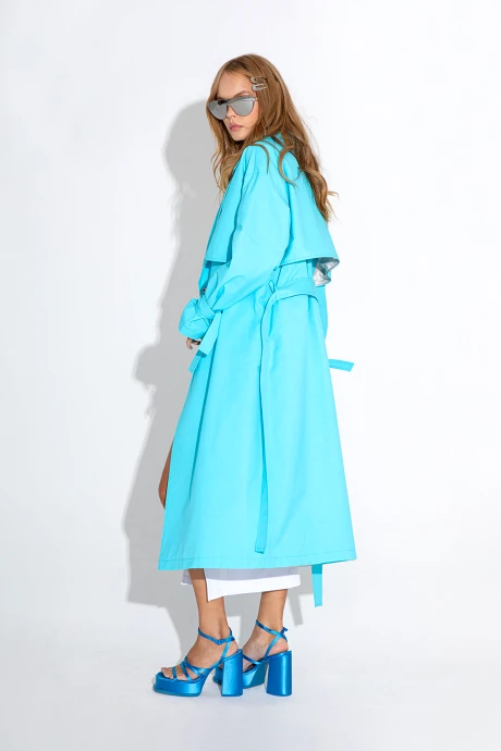 PiRS 4621 #5