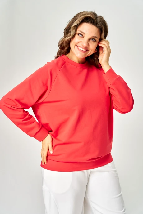 Rumoda 2270 #2
