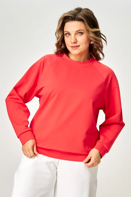 Rumoda 2270 #6