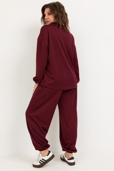 Спортивный костюм BegiModa 3099 двойка вишня размер 48-62 #7