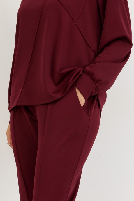 Спортивный костюм BegiModa 3100 двойка вишня размер 48-62 #7