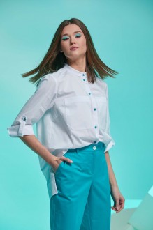 ANDINA 102