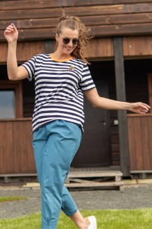ANDINA 404-1 #2