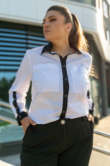 ANDINA 117 #2