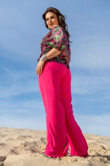 ANDINA 954 #3