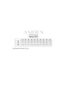 ANIDEN 710 #7